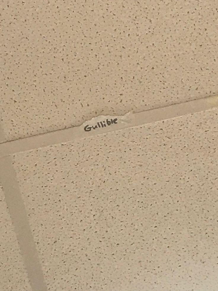 there is some gullible on the ceiling